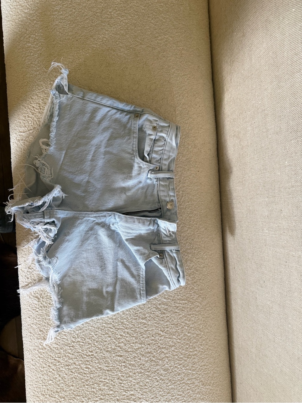 Alexander Wang Bite Denim Shorts